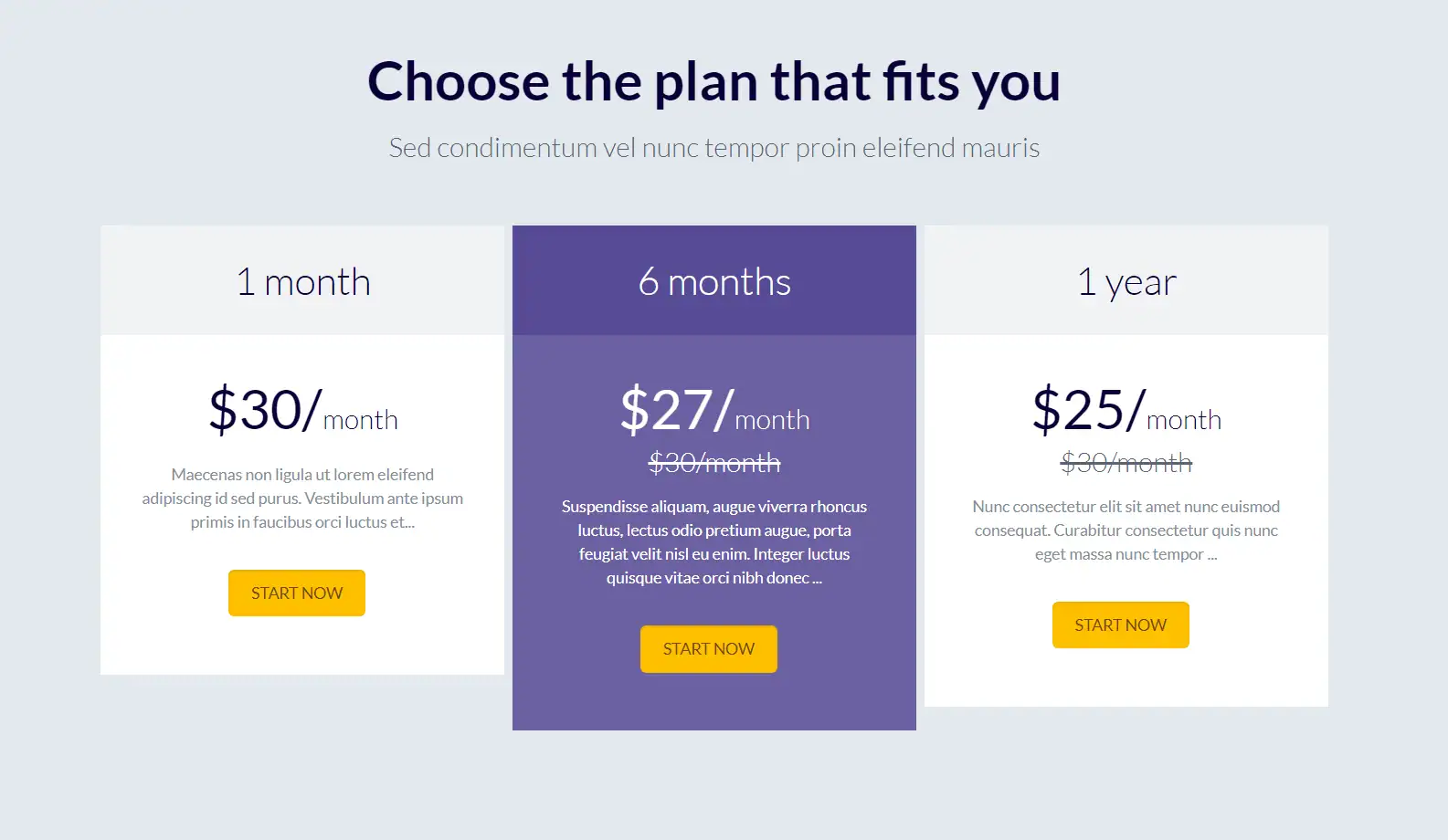 Website section of pricing